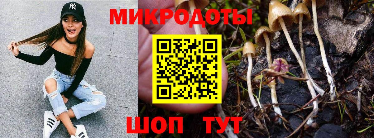 Псилоцибиновые грибы ЛСД Чебоксары
